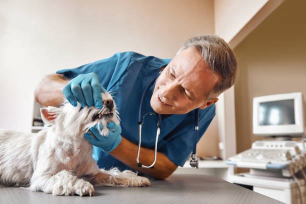 Best Broken or Cracked Tooth Emergency Dentist in Barnsdall, OK